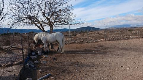 Foto 5 de Finca rústica en venda a Monóvar  / Monòver, Alicante