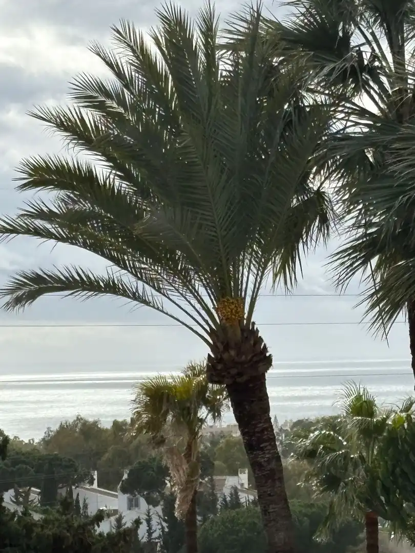 Vista exterior de Dúplex en venda en Mijas amb Calefacció, Terrassa i Piscina comunitària
