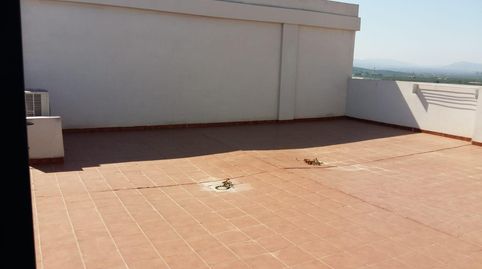 Foto 2 de Dúplex en venda a Alberic, Valencia