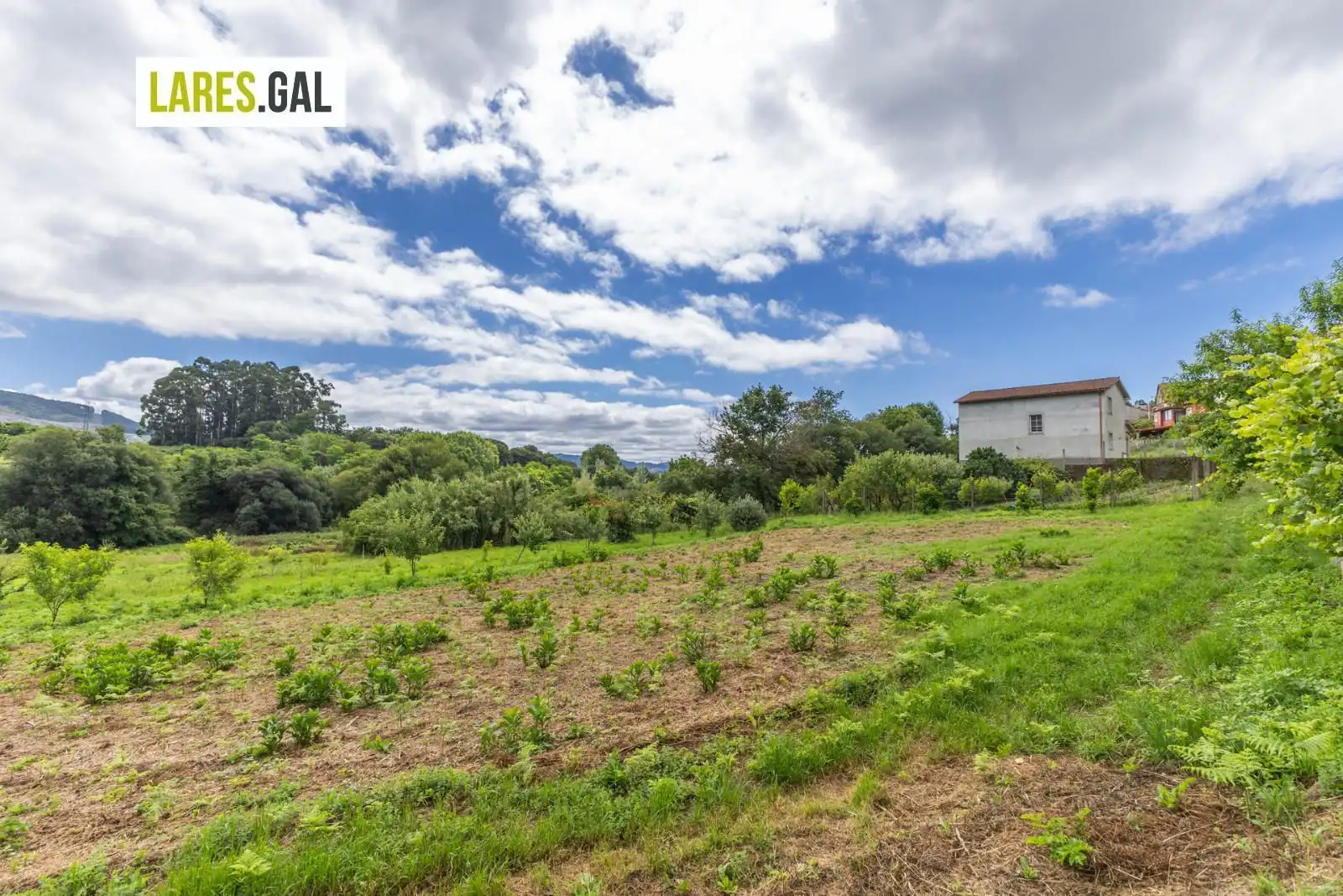 Terrain rustique à vendre à Lugar de Pozonegro, imagen 7