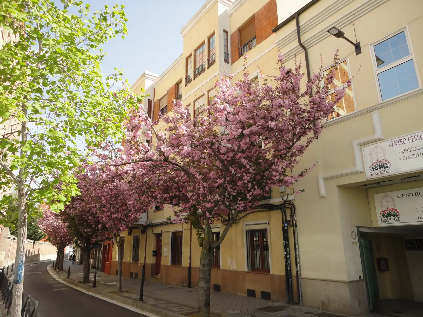 Piso en venta en Centro, imagen 6