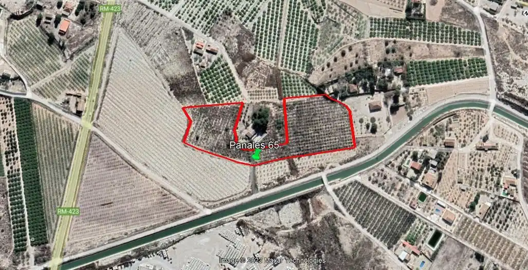 Land for sale in Fortuna