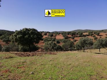 Terreno rustico in vendita a La Haba