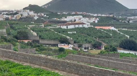 Photo 3 of Land for sale in Los Silos, Santa Cruz de Tenerife