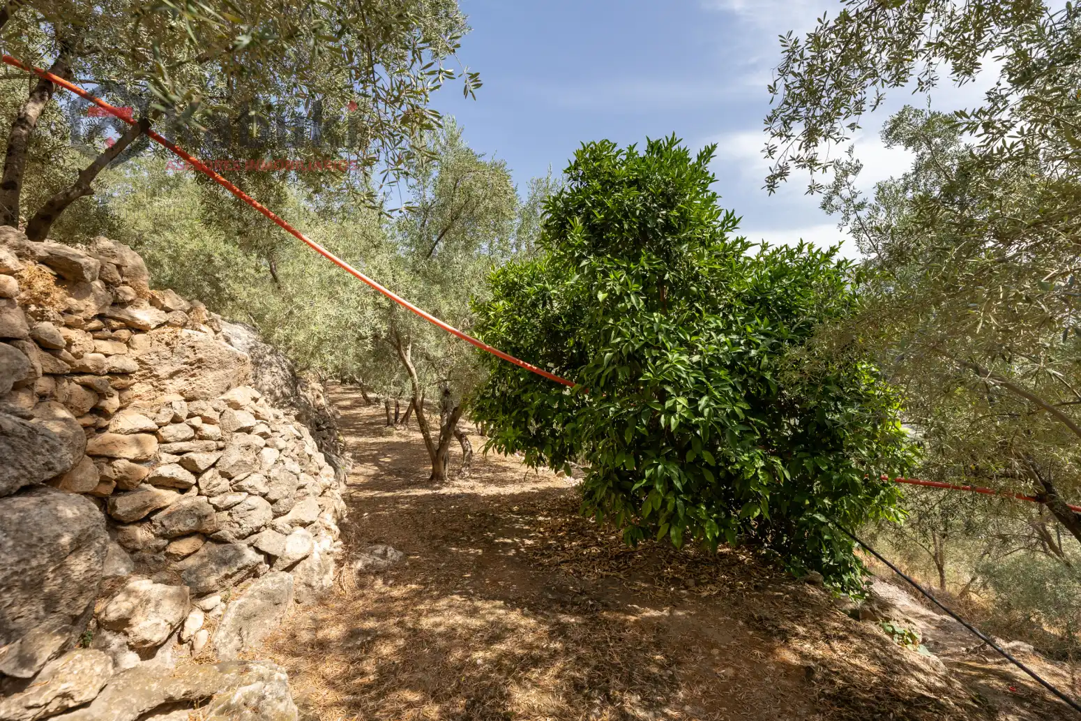 Terreno rustico in vendita a Pinar El - Pantano de Beznar, imagen 13