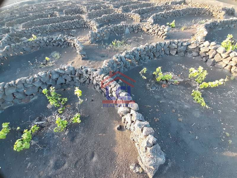 Terreno en venta en Yaiza