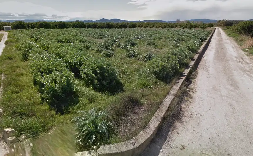 Terreno rústico en venta en Villanueva de Castellón, imagen 6