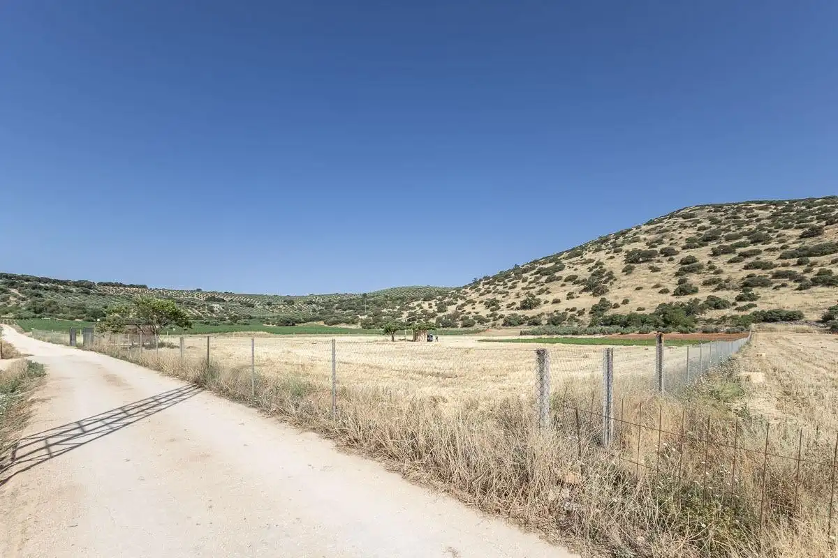 Land for sale in Montefrío