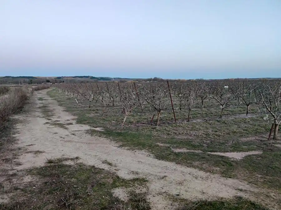 Rustikales Grundstück zum Verkauf in Alfaro, imagen 9