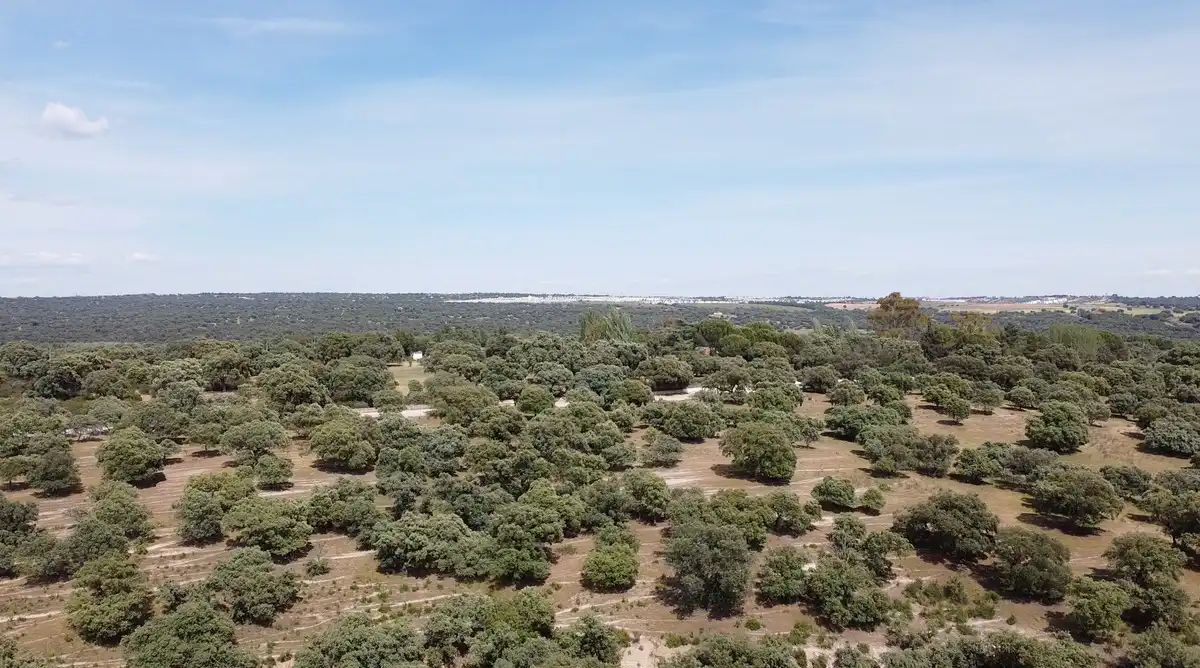 Casa con terrazza in vendita a Raya del Palancar - Guadamonte, imagen 22