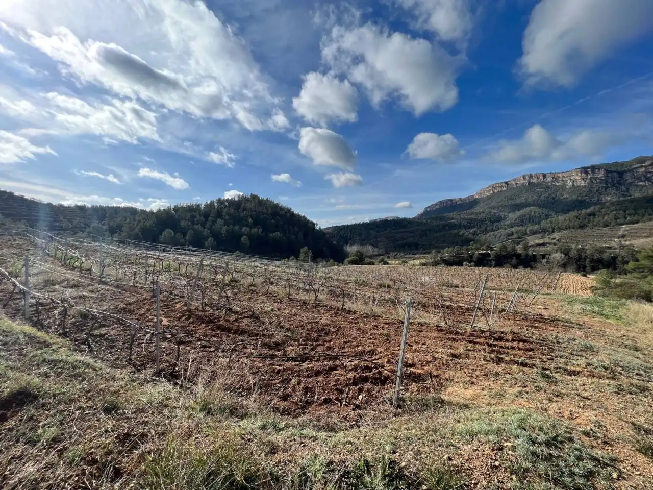 Terreno en venta en La Vilella Baixa