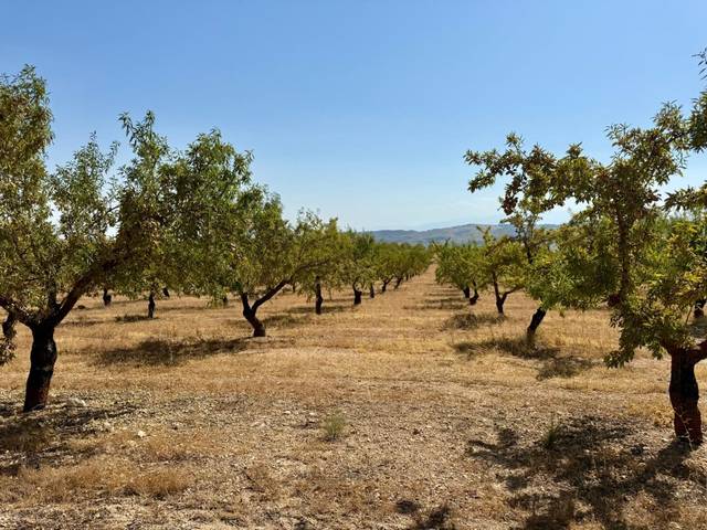 Casa-chalet en Venta en Poligono 14 Paraje 320 Rosado en Alhama de Granada