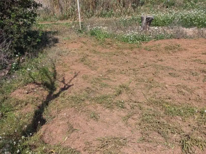 Rural land for sale in Camí de Joncadella 0