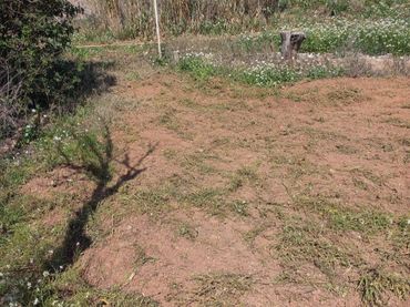 Rural land for sale in Camí de Joncadella 0