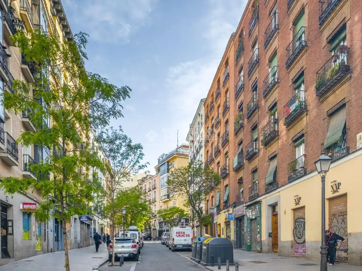 Piso en venta en Embajadores - Lavapiés, Centro