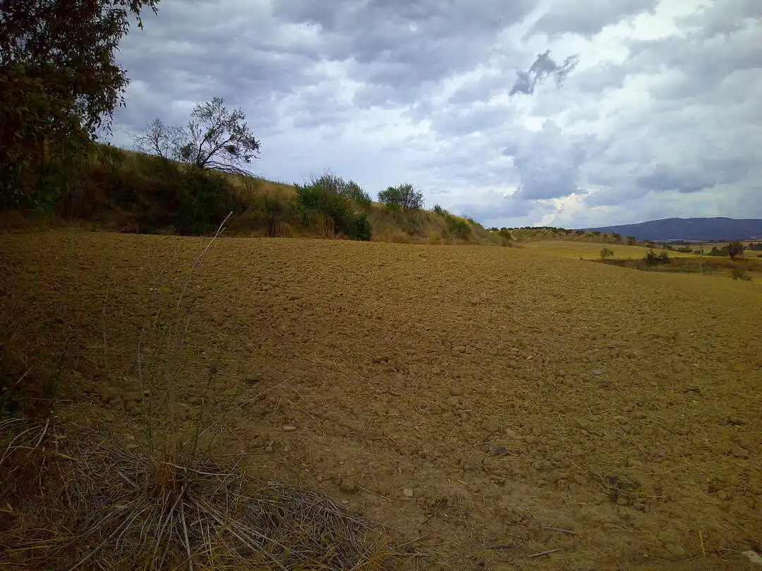 Villa à vendre à Carretera Campanas 5, imagen 46