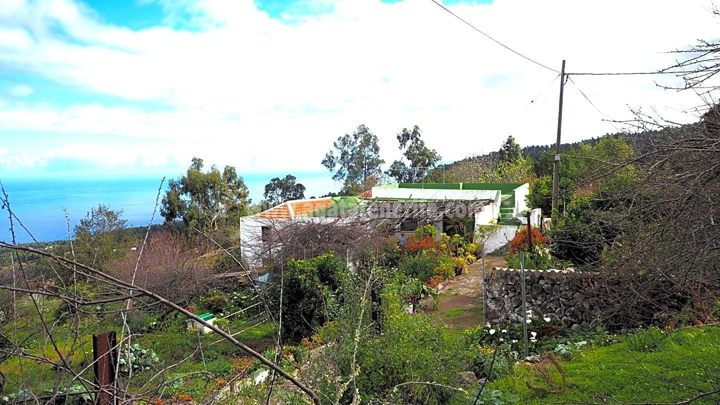 Vista exterior de Finca rústica en venta en Icod de los Vinos con Terraza