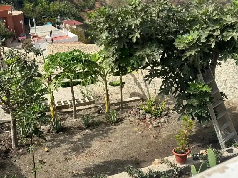 Maison avec jardin à vendre à Urbanización Alfamar 14, imagen 2