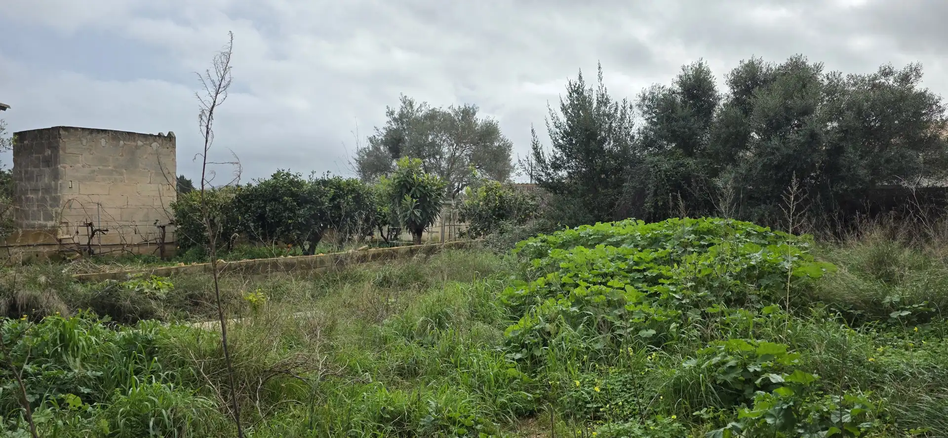Residential land for sale in Sant Llorenç des Cardassar, imagen 5