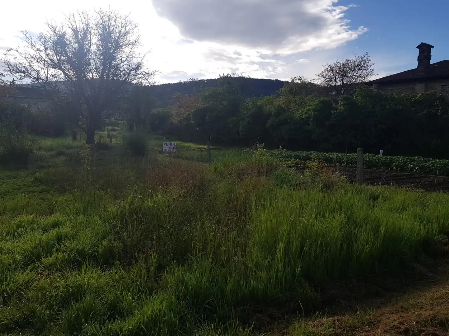 Terreny rústic en venda a Los Corrales de Buelna - FELISA CAMPUZANO, imagen 2