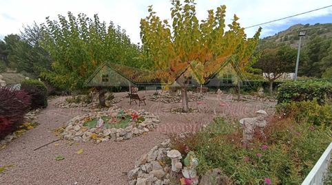 Foto 3 de Finca rústica en venta en Partida Caprala, 64, Petrer, Alicante