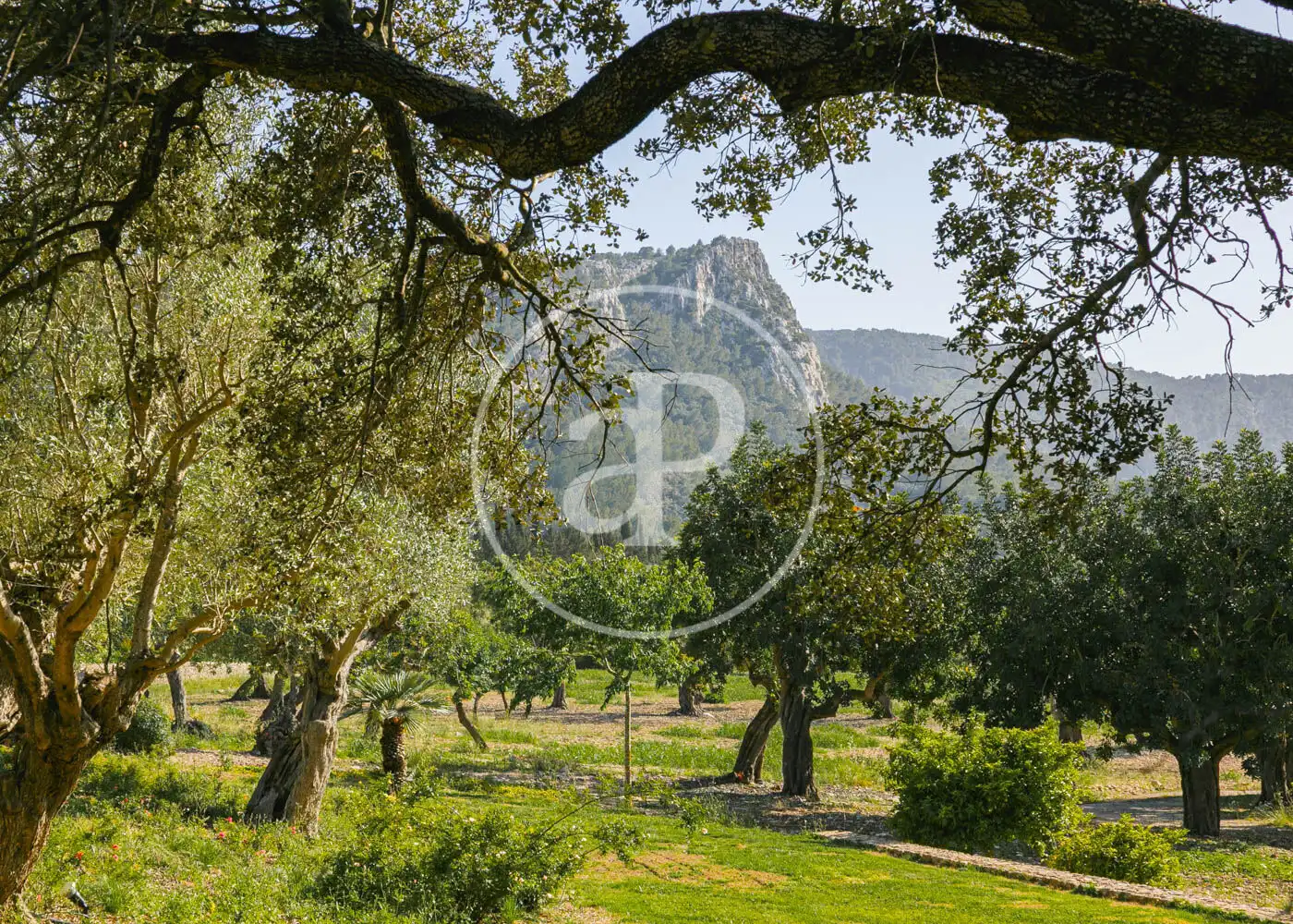 Houses for rent in Pollença  with Air Conditioner, Heating and Private garden
