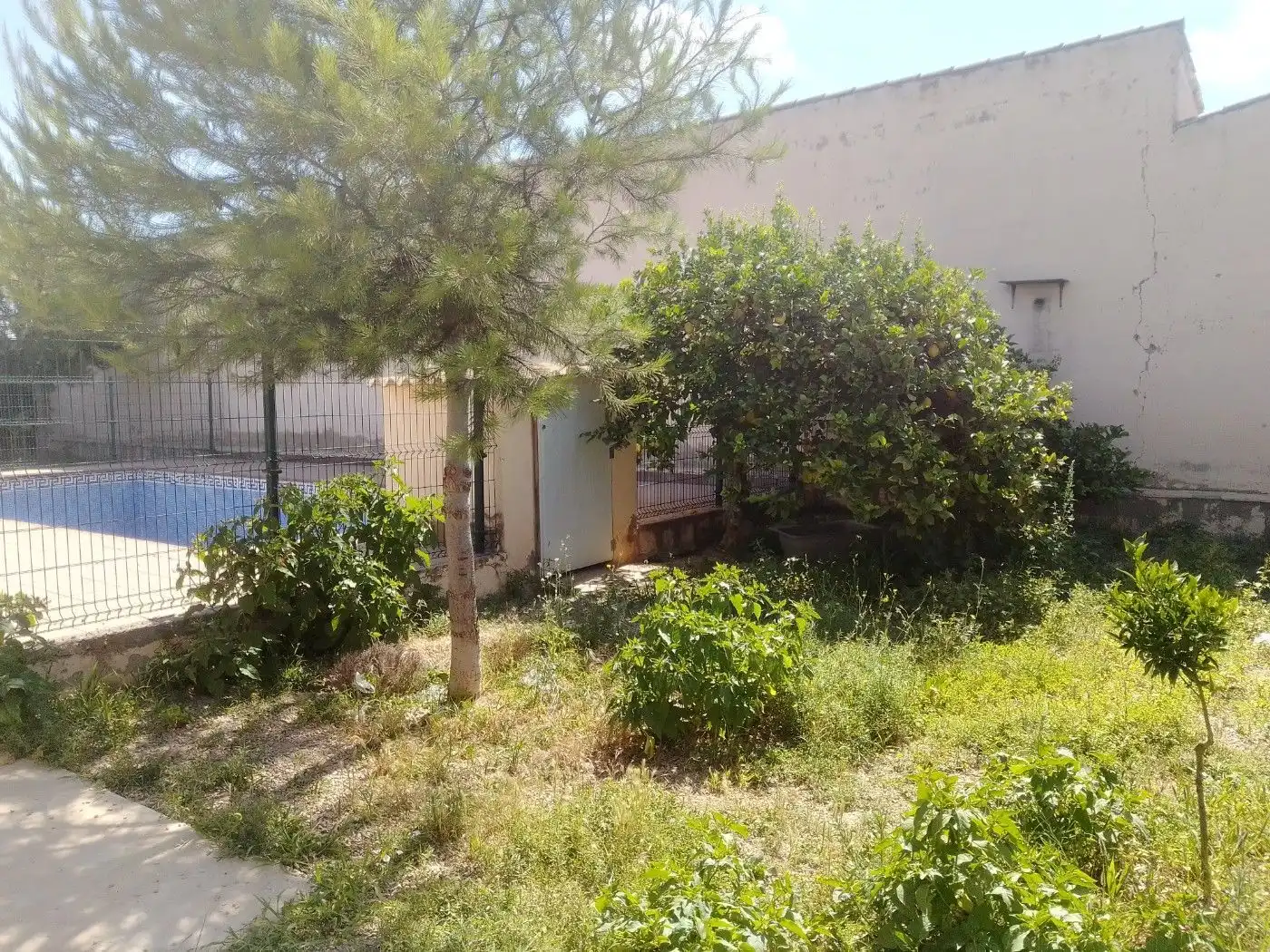 Casa o xalet en venda en Torre-Pacheco amb Terrassa, Traster i Piscina