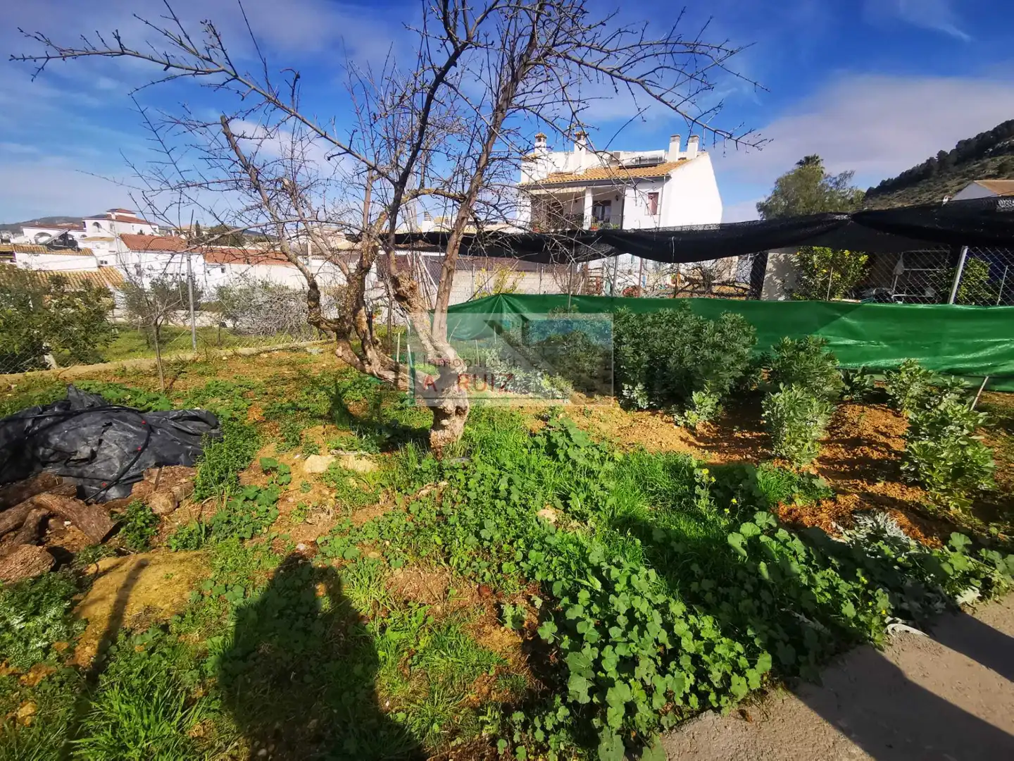 Casa amb jardí en venda a Priego de Córdoba, imagen 16