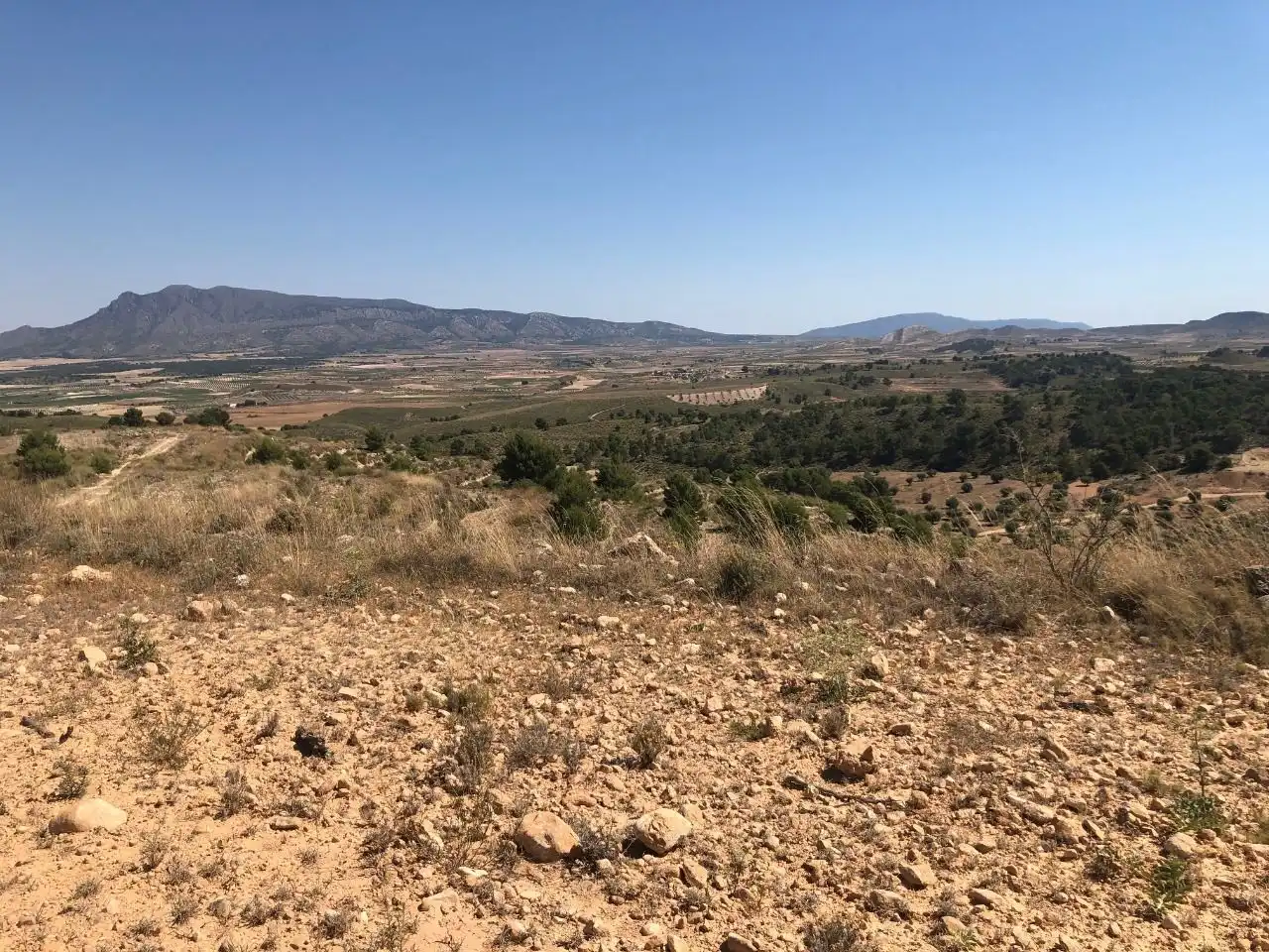 Rustikales Grundstück zum Verkauf in Jumilla, imagen 8