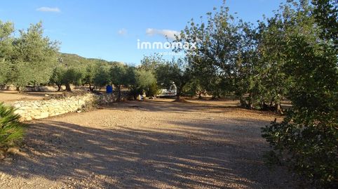 Finca rústica en venta en Xerta con agua, immagine 5