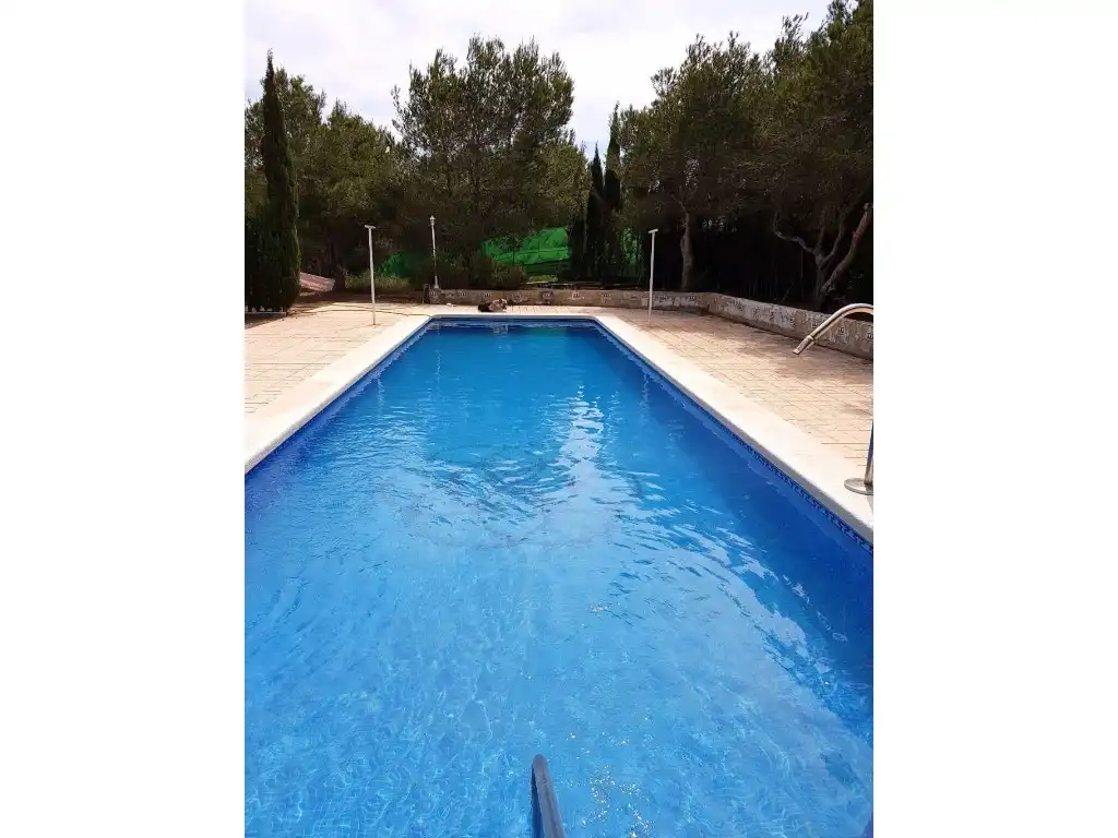 Piscina de Casa o xalet en venda en Elche / Elx amb Jardí privat, Terrassa i Piscina