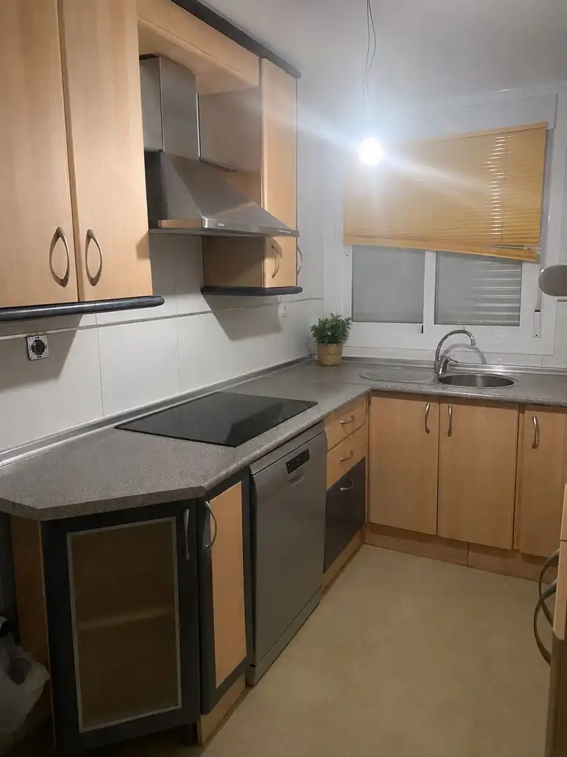 Kitchen of Attic for sale in Roquetas de Mar  with Terrace