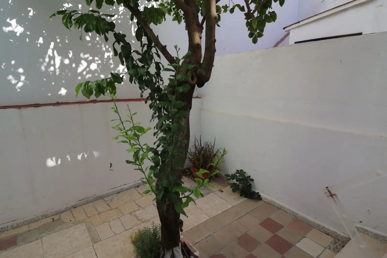 Pis en venda a Bellavista - La Palmera, imagen 28