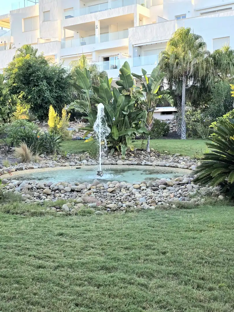 Schwimmbecken von Wohnungen zur Miete in Torrevieja mit Klimaanlage, Terrasse und Abstellraum