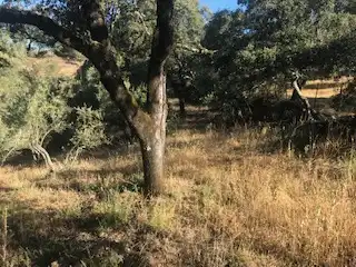 Terreni e lotti in vendita a Cortegana, imagen 27