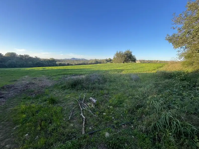 Finca rústica en venda en Manacor