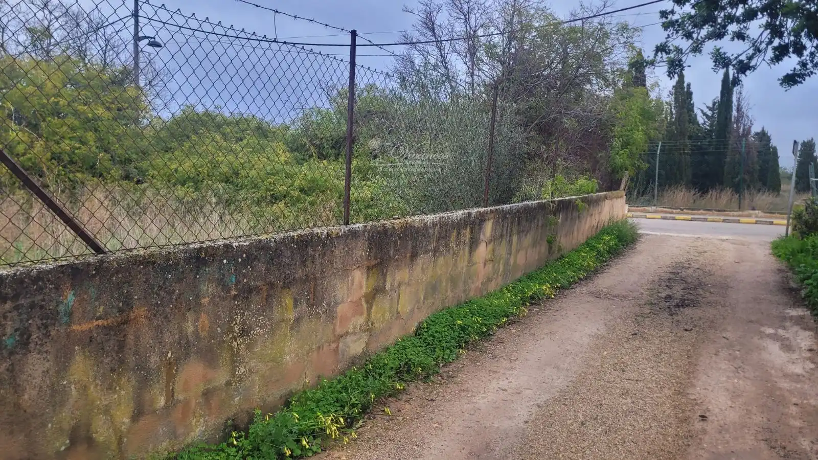Terreny rústic en venda a Marratxinet, imagen 2