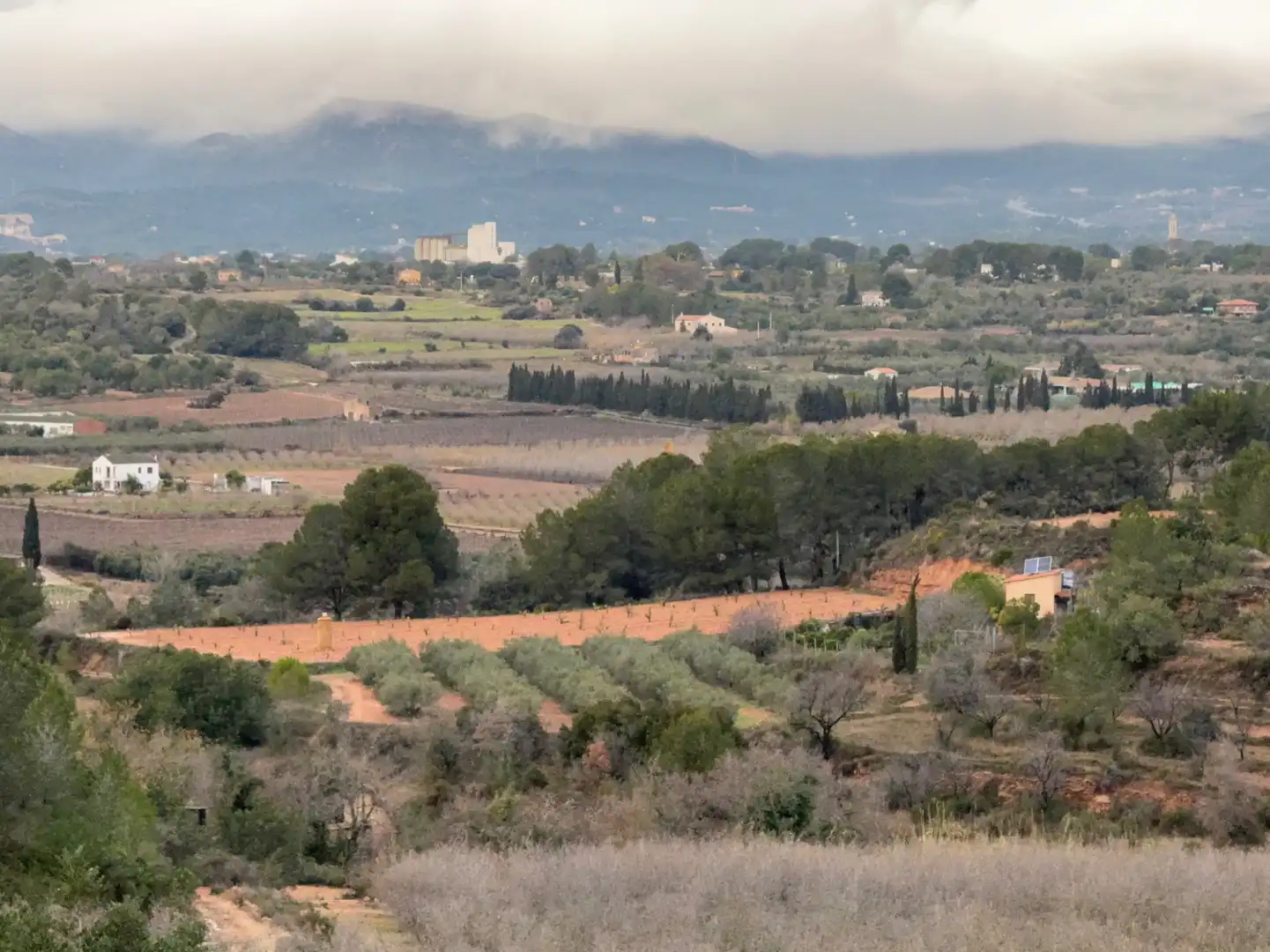 Terrain rustique à vendre à Carretera a la Maso 1G, imagen 14