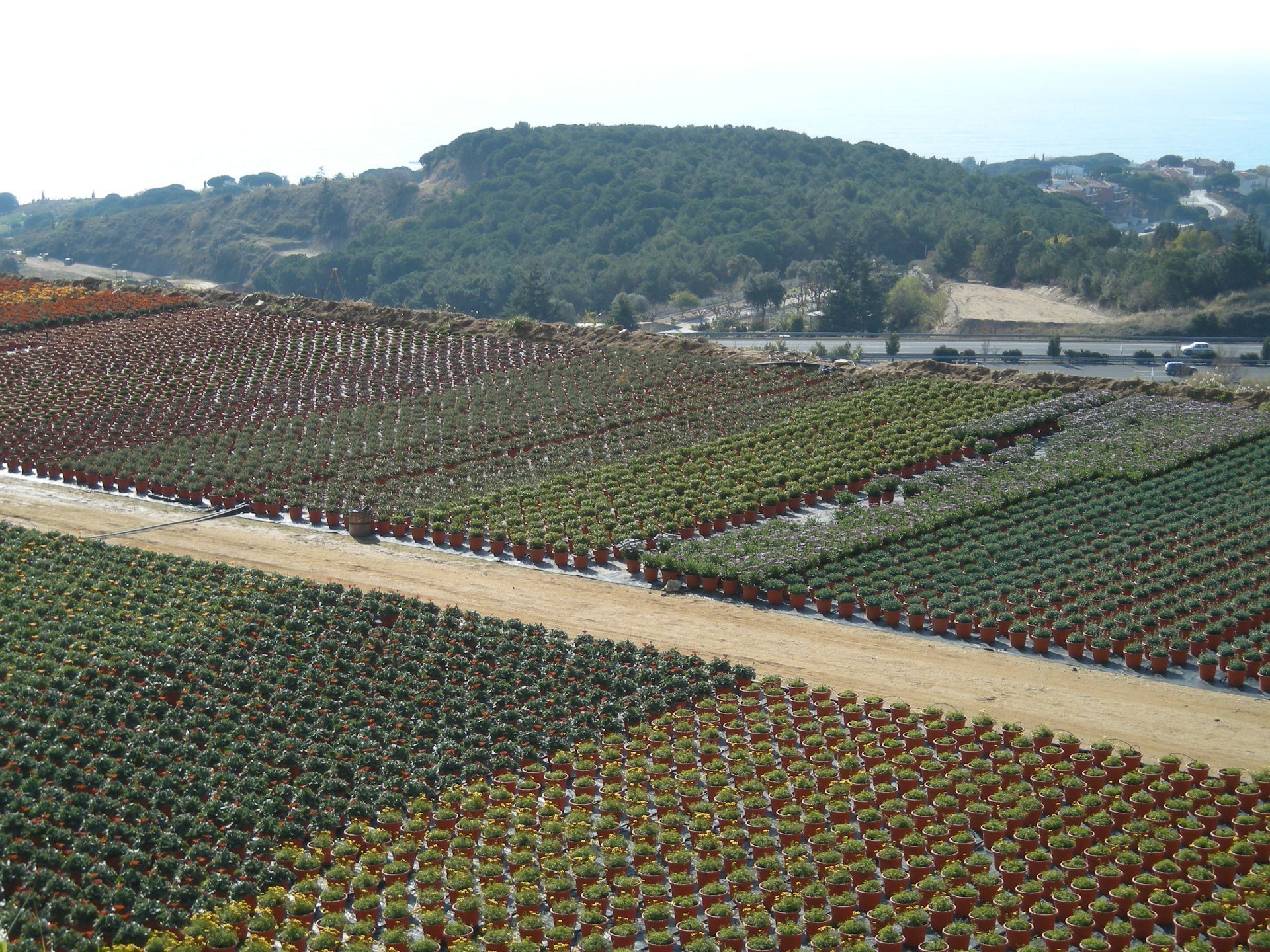 Garden of Land for sale in Sant Pol de Mar