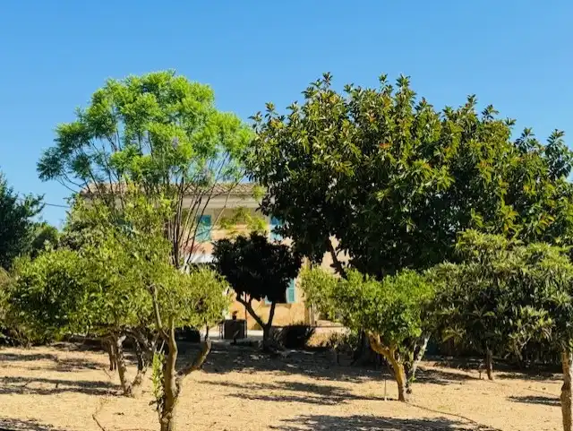 Exterior view of Country homes for sale in Manacor  with Air Conditioner, Private garden and Terrace