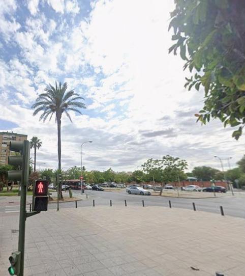 Photo 2 of Planta baja for sale in Pino Montano - Consolación, Sevilla