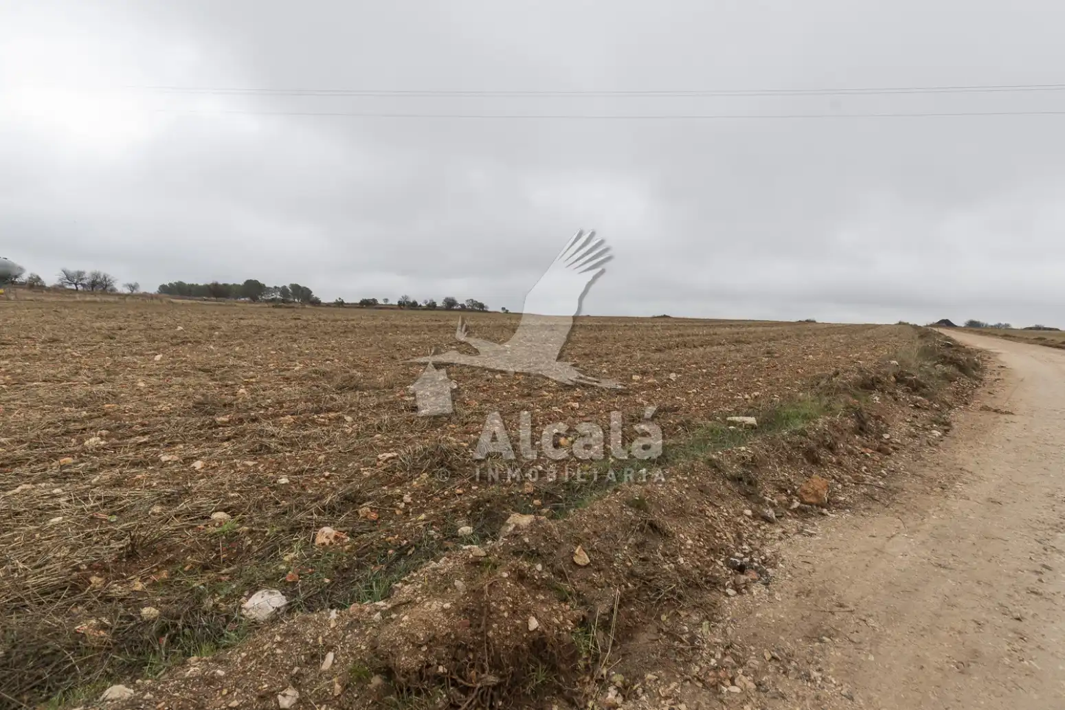 Rural land for sale in Pezuela de las Torres, imagen 14