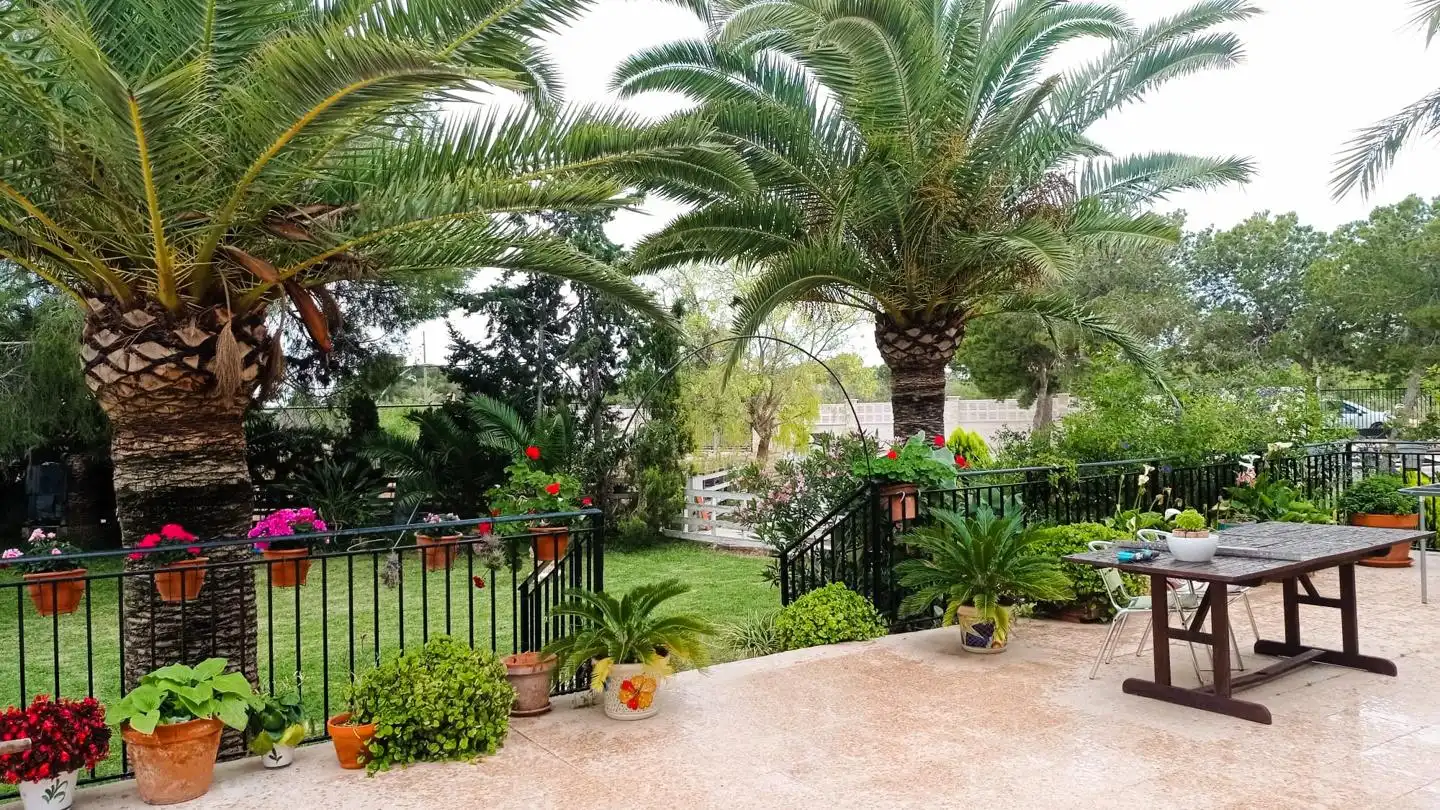 Jardí de Finca rústica en venda en Elche / Elx amb Jardí privat, Terrassa i Piscina