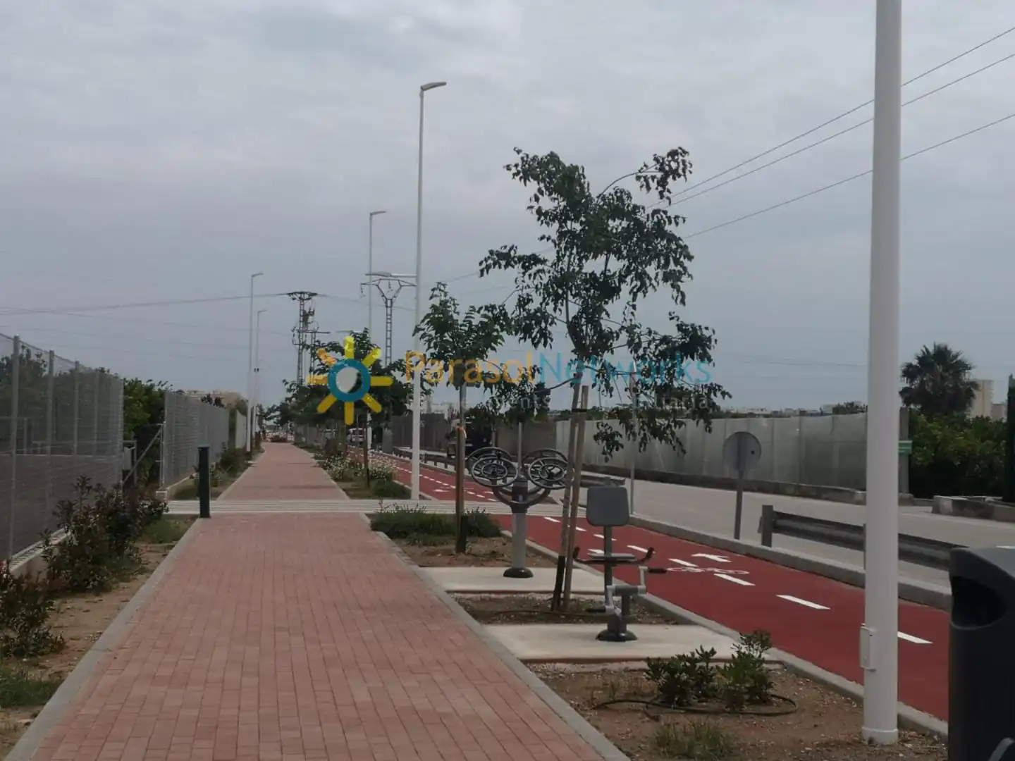 Rural land for sale in Guardamar de la Safor, imagen 3