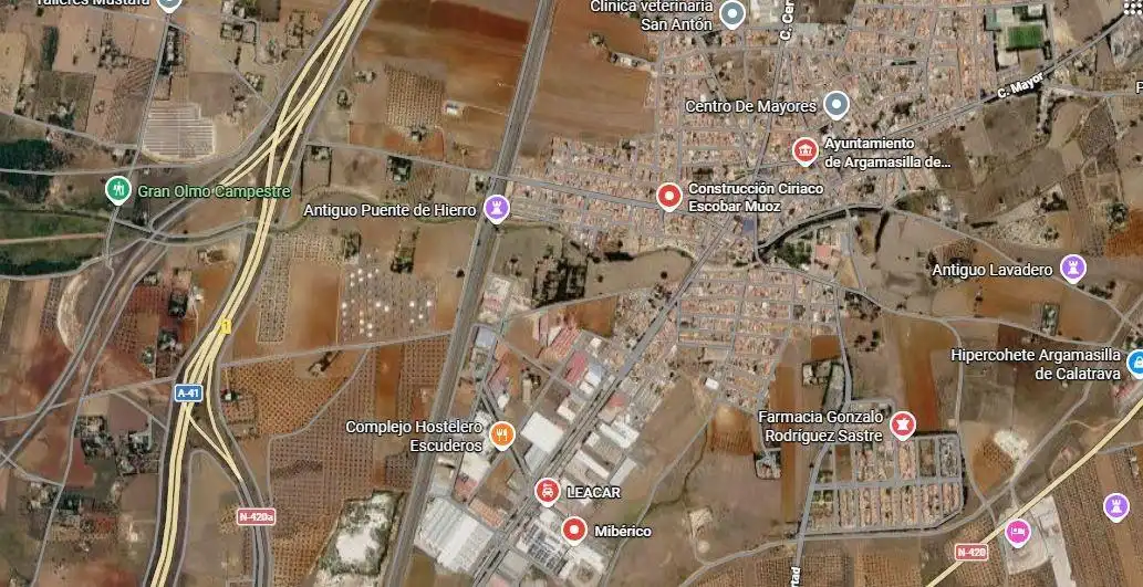 Terreno rustico in vendita a Argamasilla de Calatrava, imagen 2