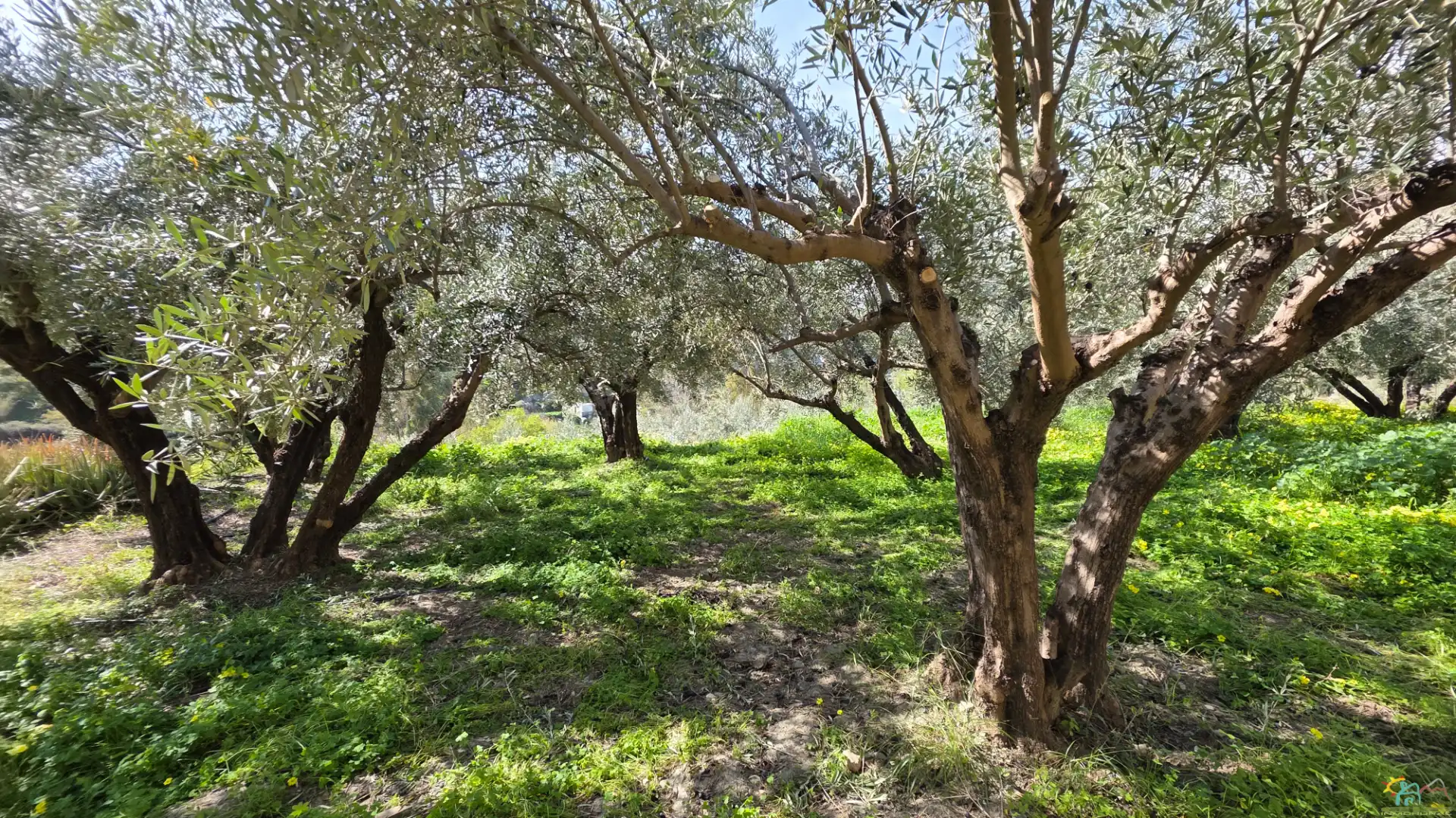 Finca rústica en venda en Canjáyar amb Moblat