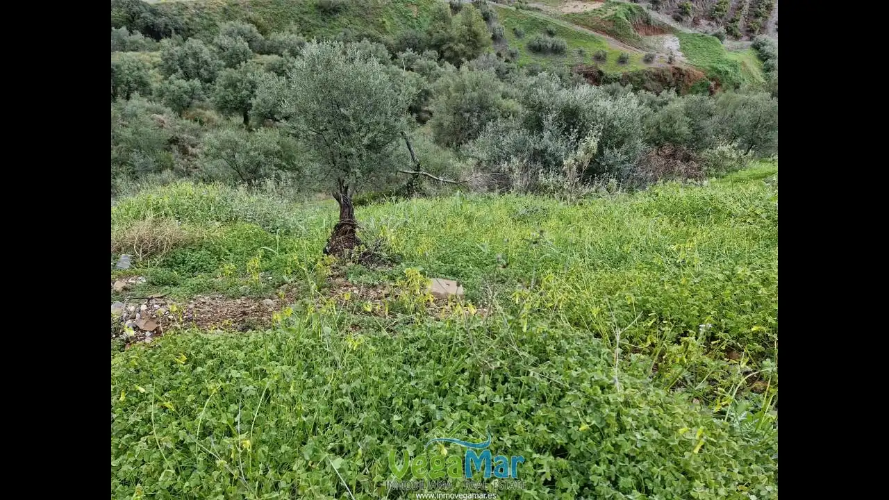 Grundstücke und Bauplätze zum Verkauf in Pista del Cerval, imagen 27