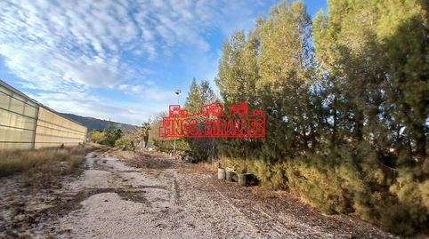 OPORTUNIDAD, CASA EN EL CAMPO DE ASPE CON 11200 m2 DE TERRENO !!, imatge 5