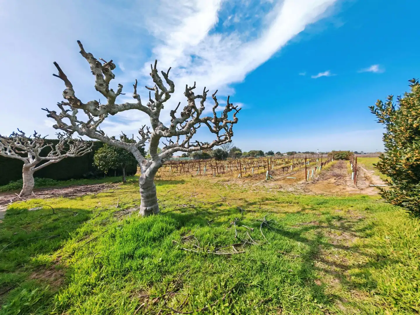 Xalet amb terrassa en venda a Ctra Sanlúcar - Cuatro Pinos, imagen 41