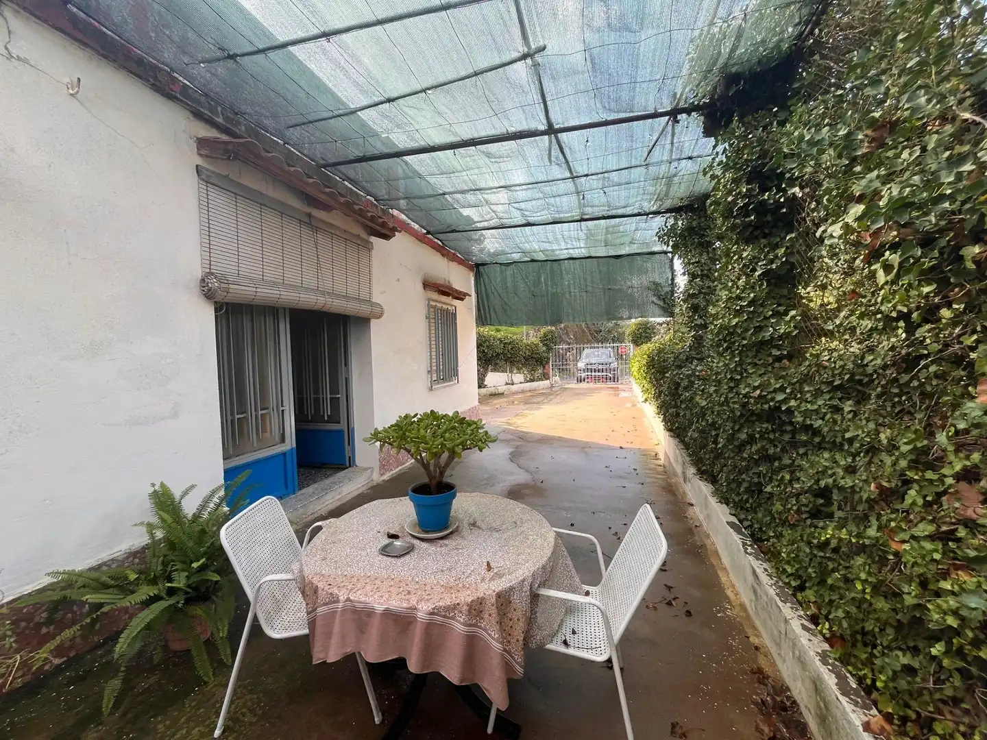 Vista exterior de Casa o chalet en venta en Alzira con Jardín privado, Terraza y Trastero